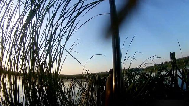 2 ШИКАРНЫХ НАЛЕТА СДЕЛАЛИ УТРЯНКУ!!! ОТКРЫТИЕ ОХОТЫ НА УТКУ СОСТОЯЛОСЬ!!! КОМАРЫ СОЖРАЛИ КАМЕРУ смотреть онлайн