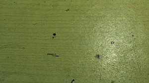 Компрессометр. Ремонт впускного клапана