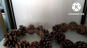 Корзина из  сосновых шишек без клея. Basket of pine cones without glue.