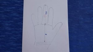 Короткие и длинные пальцы. Хиромантия.