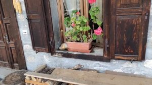 ИТАЛЬЯНСКИЕ АЛЬПЫ | САУРИС | 2 ЧАСТЬ | прогулка по улочкам жилых этнографических домиков в Альпах