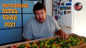 Перец побило морозом, остатки урожая