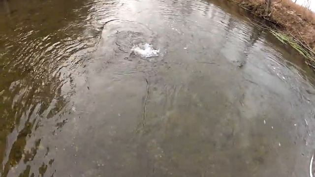 GoPro HD Hero 2 Fly Fishing смотреть онлайн