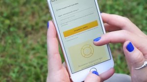 Даша Верона. Блог. Киви Такси. Kiwi Taxi. Как заказать трансфер за границей.