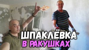 РАКУШКИ В ШПАКЛЁВКЕ