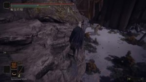 ЛУЧШИЙ АФК ФАРМ РУН И ДУГ в Elden Ring
