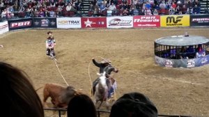 PBR - Professional Bull Riders 2018, Bangor ME (roping a bull)