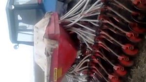 Посадка донника