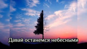 Давай останемся небесными