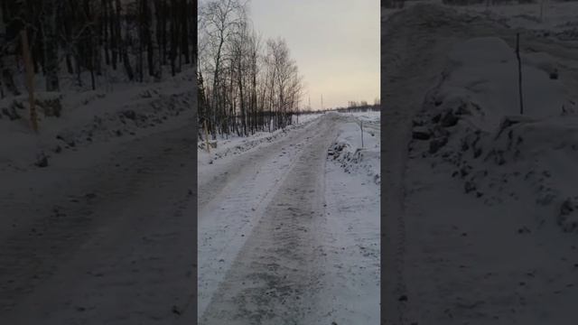 Ручные куропатки смотреть онлайн