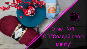 Отчет №1. СП "Свяжи свою мечту". Участник № 2.