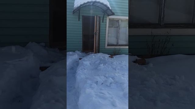 04 марта 2023 года первая поездка на дачу смотреть онлайн