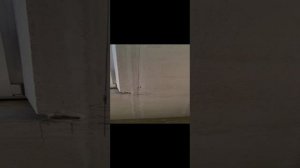 Разметка и монтаж кабельных трасс