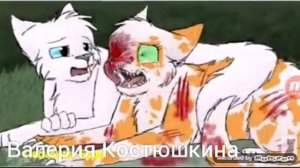 Коты-Воители "Яролика и Белохвост:Кошка"