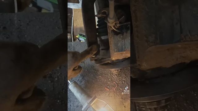 Peugeot 406 замена амортизатора, опорных подшипников, пыльников, отбойников, суппорта