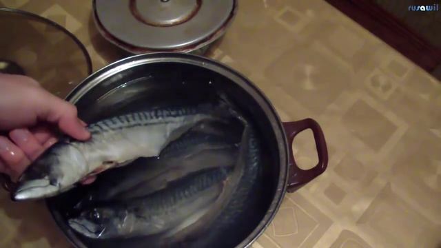 Копчение рыбы в домашних условиях или на даче