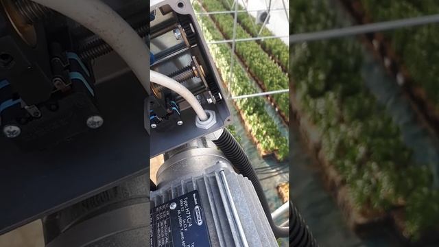 Регулируем концевики форточки на теплице смотреть онлайн