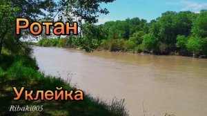 При какой температуре воды  начинается нерест у  рыб.