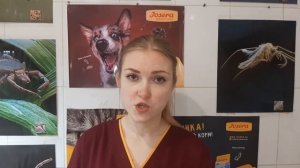 МОЧЕКАМЕННАЯ БОЛЕЗНЬ У КОТОВ. Кот писает кровью! Причины появления, симптомы, признаки, лечение.