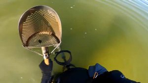 Equinox 600 в деле!!! ОПЯТЬ золото____боль и разочарование... (1)