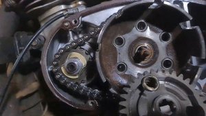 Купил муравья. первичный ремонт.