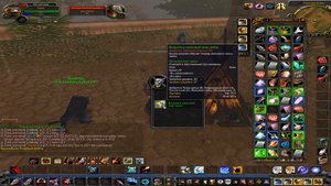 World Of Warcraft - Задания: Головы племени Кровавого скальпа