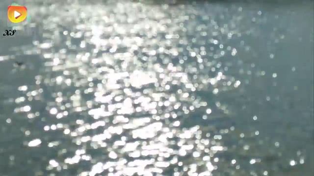 Мурманск. Семеновское озеро. Уточки. 2 июля 2016. Лето в коем то веке. Видео 2016. смотреть онлайн