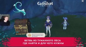 Геншин Импакт ➤ Ветвь из Туманного леса ➤ Где найти и для чего нужны ➤ Прохождение Genshin Impact