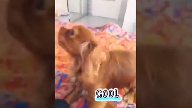 Несколько фактов обо мне смотреть онлайн