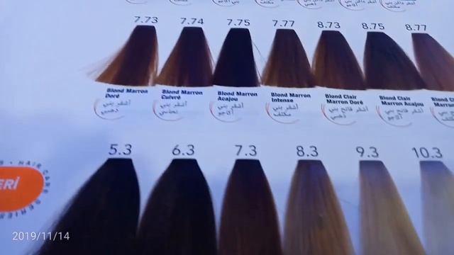?Catalogue #MORFOSE_HAIR_COLOR_CREME (Crème De Coloration Pour Les Cheveux)