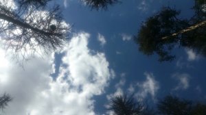 Плывущие облака и грустный гул пролетающего самолета