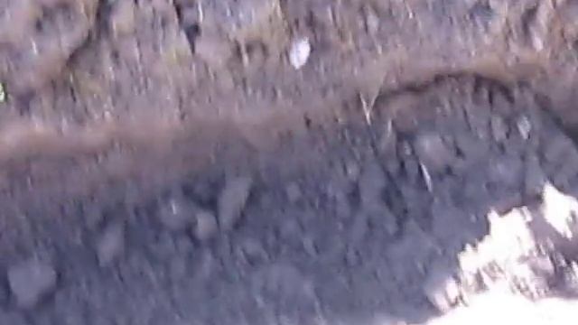 Садим семена яблони" ПИНОВА " смотреть онлайн