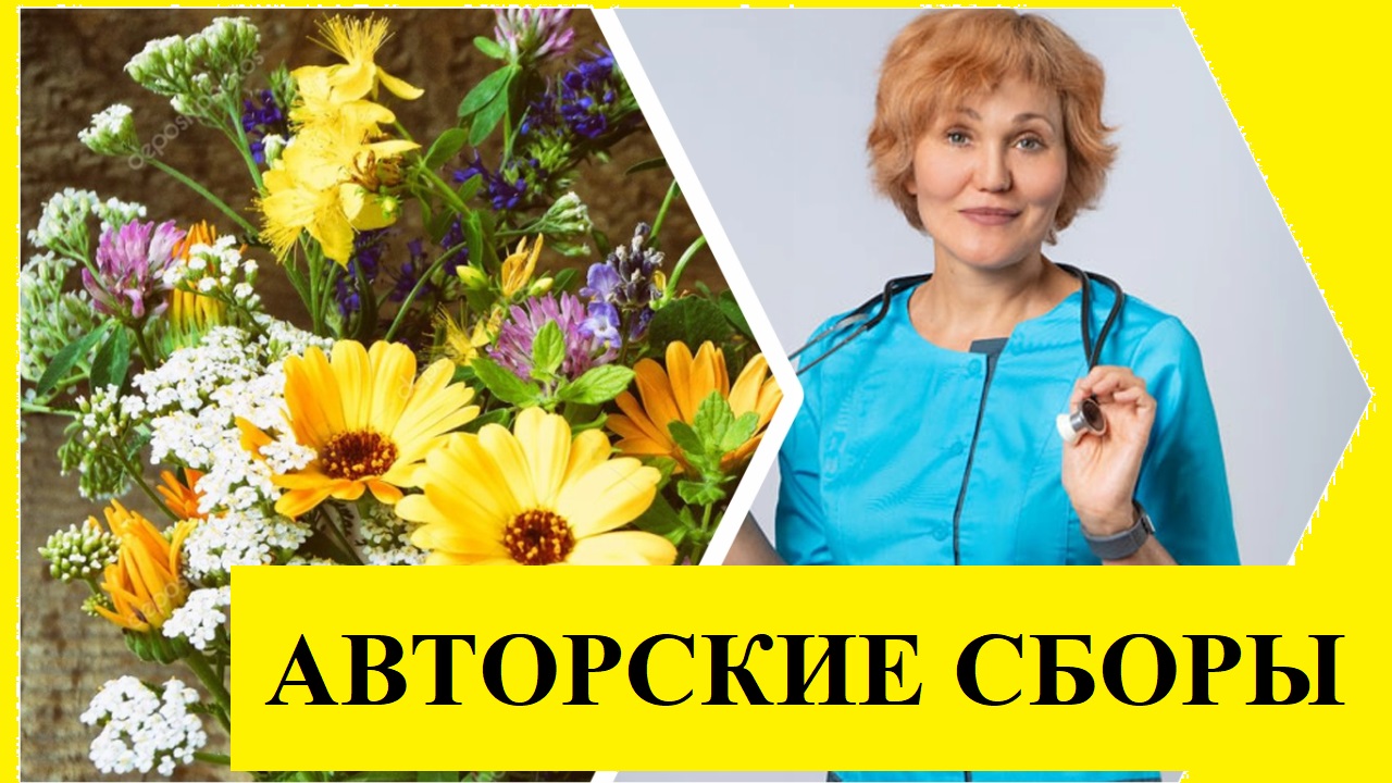 Как готовлю сборы смотреть онлайн