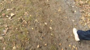 физра в школе