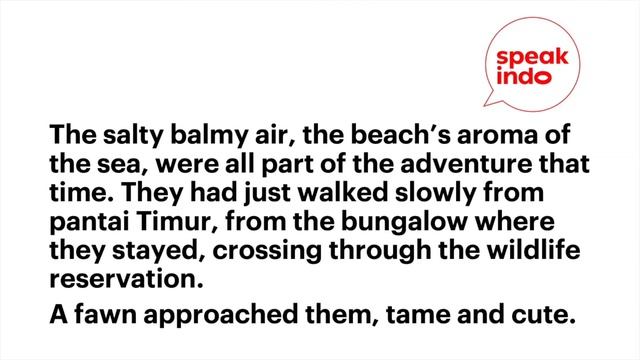 Speak Indo S3E2 My Path I Learn Indonesian I Belajar Bahasa Inggris смотреть онлайн