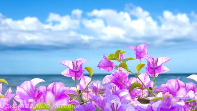 Приехав на вызов, фельдшер скорой помощи ахнула, увидев себя на фото в чёрной рамке. И узнав... смотреть онлайн