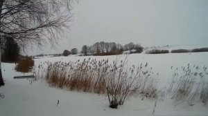 Наша рыбалка. Щука на жерлицу в Волоколамском районне.