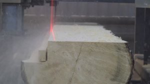 Оптимизация раскроя бревна на пилораме Корвет