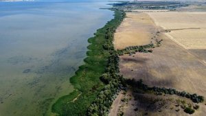 Берега Волгоградского водохранилища.Окрестности Приморска
