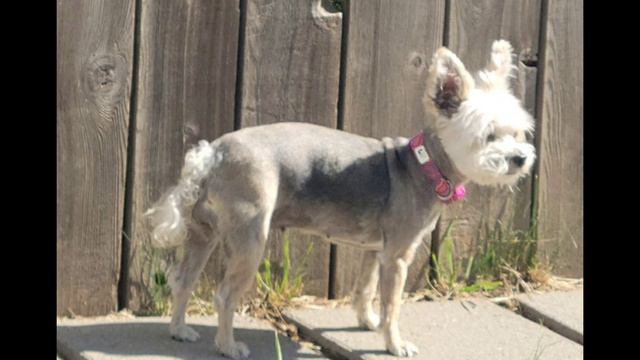 Movie003 смотреть онлайн