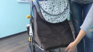 Как выбрать зимнюю коляску-сани? Обзор санок-колясок