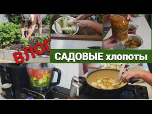 Влог/Садовые хлопоты/Птички принесли новое растение/Баклажаны в заливке на зиму@SubTatiana