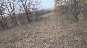 МР-155 чок цилиндр 50мм охота на куропатку октябрь 2022