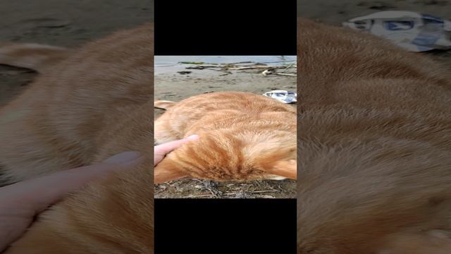 Кузя и девочка