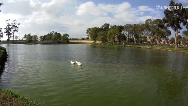 Значение имени Митрофан: карма, характер и судьба смотреть онлайн