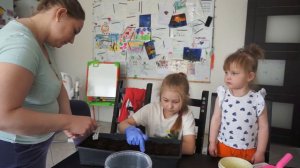 Как посадить растения, овощи, рассаду. Для  детей