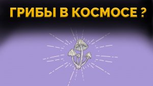 Зачем учёные запускают грибы в космос ?