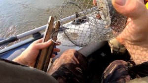 Как Выбрать Место, Забить Кормушку и Встать на Груза при Ловли на Кольцо!!!