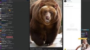 ГЛАД ВАЛАКАС СМОТРИТ ФОТОЛУПЫ