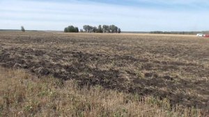 Глубокорыхлитель КАМА TIGER 5 - ТОО "АгроКом Ленд"